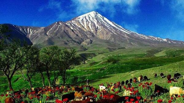 عکس از بهار ایران