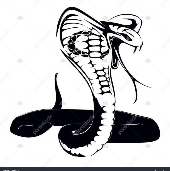 عکس تاتو مار کبرا