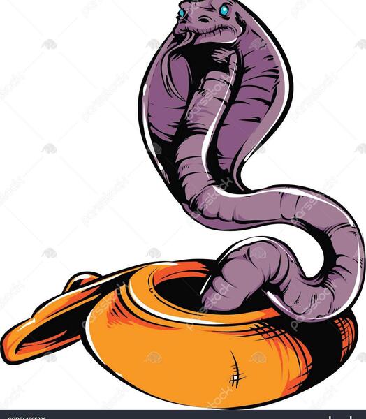 عکس تاتو مار کبرا