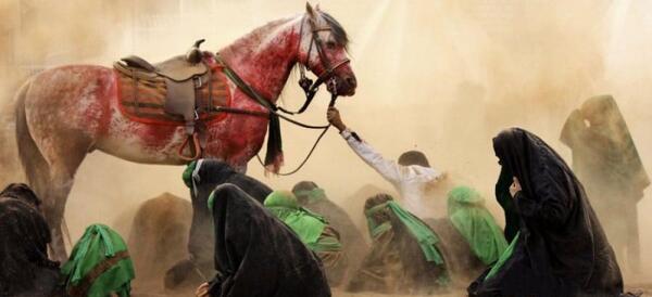عکس اسب امام حسین روز عاشورا