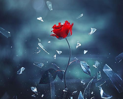 عکس جالب و قشنگ برای پروفایل