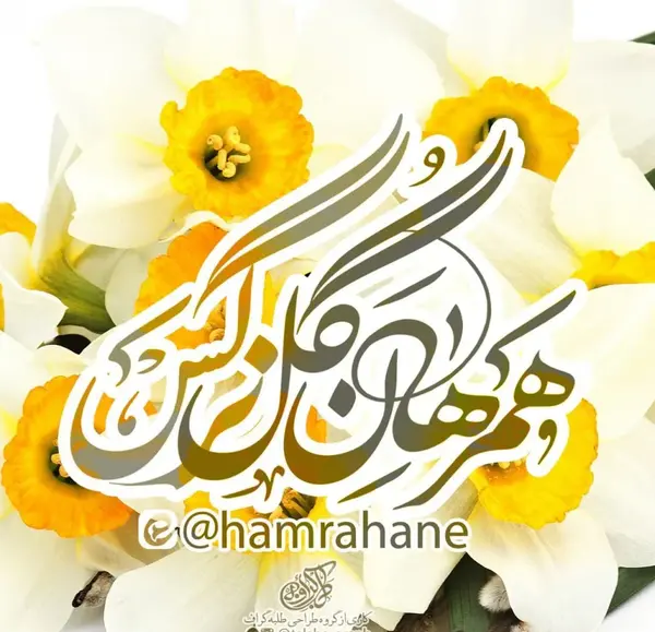 عکس برای پروفایل گل نرگس