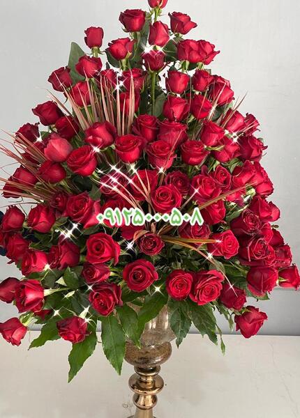 عکس گل برای تبریک تولد