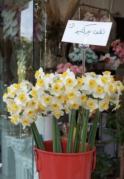 عکس گل جالب