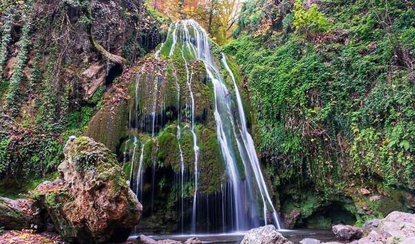عکس جنگل دیزمار