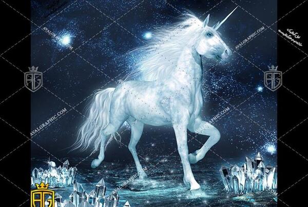 عکس اسب عکس اسب تک شاخ