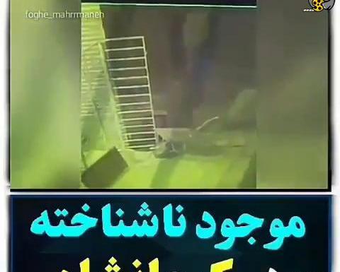 عکس جن واقعی در غار