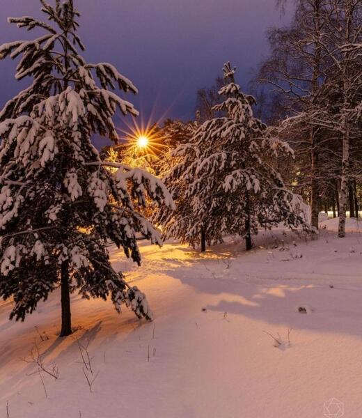 عکس طبیعت زمستانی برای تصویر زمینه