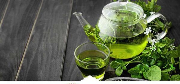 لاغری عکس چای سبز اصل