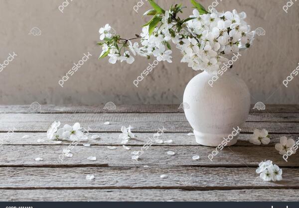 عکس گلهای بهاری سفید