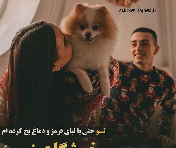 عکس پروفایل خوشگل