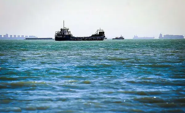 جن عکس پری دریایی واقعی در خلیج فارس