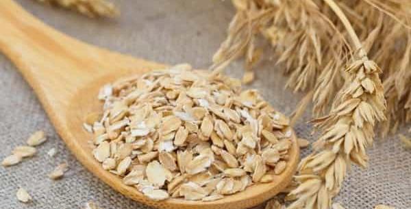 عکس خوشه جو دوسر