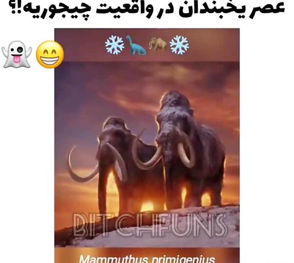عکس حیوانات عصر یخبندان«واقعی»