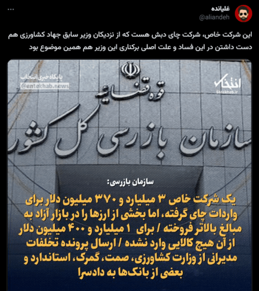 عکس مژگان عیدی چای دبش