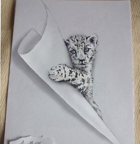 عکس حیوانات برای طراحی