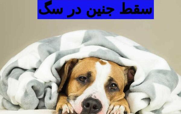 عکس جنین حیوانات مختلف