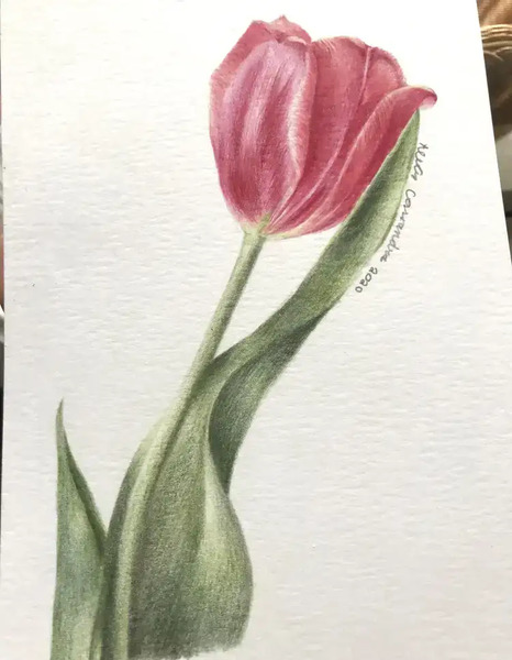 عکس گل برای نقاشی با مداد رنگی