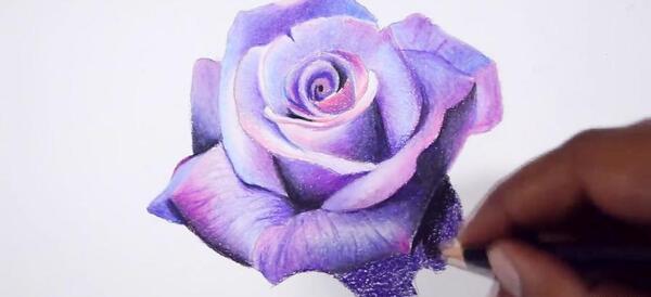 عکس گل برای نقاشی با مداد رنگی