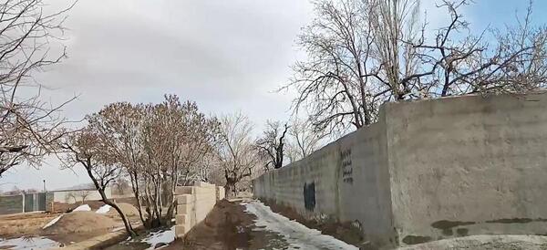 عکس جای پای سگ