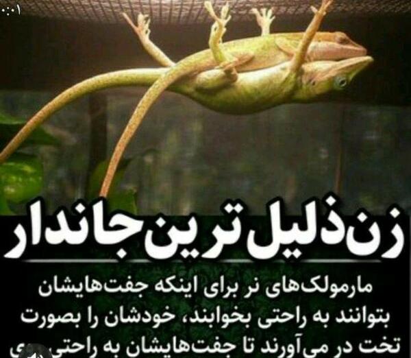 عکس دانستنی های جالب دنیا