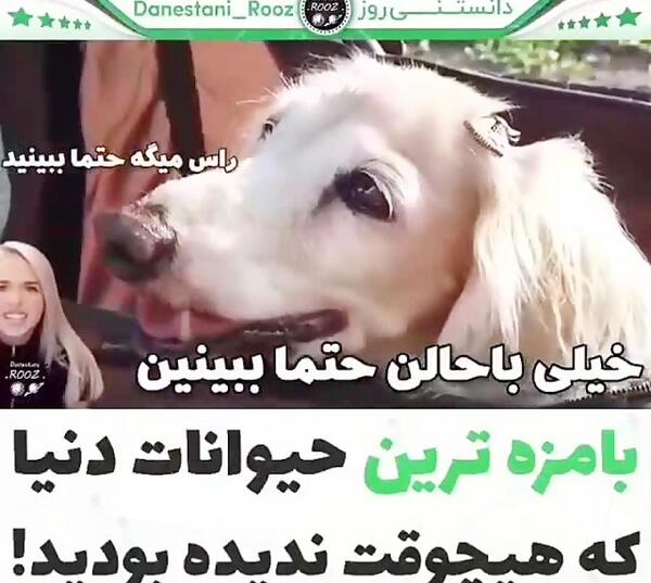 عکس دانستنی های جالب دنیا