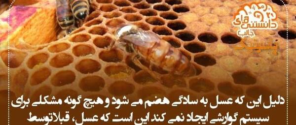 عکس دانستنی های جالب دنیا
