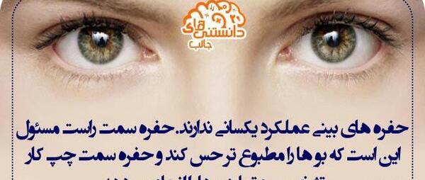 عکس دانستنی های جالب دنیا