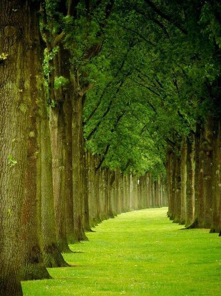 دانلود عکس تصویر زمینه برای گوشی اندروید