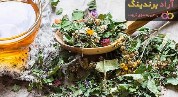 عکس چای کوهی توکلیجه