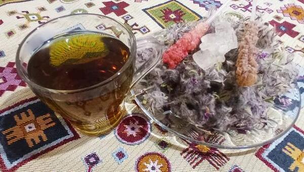 عکس چای کوهی توکلیجه