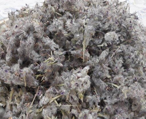 عکس چای کوهی توکلیجه