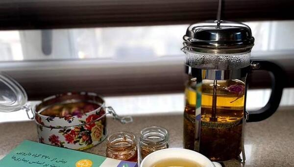 عکس چای کوهی توکلیجه