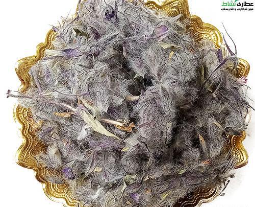 عکس چای کوهی توکلیجه