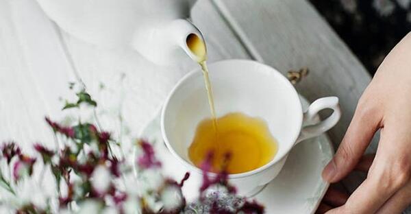 عکس چای کوهی توکلیجه