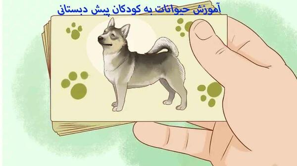 عکس حیوانات برای یادگیری بچه ها