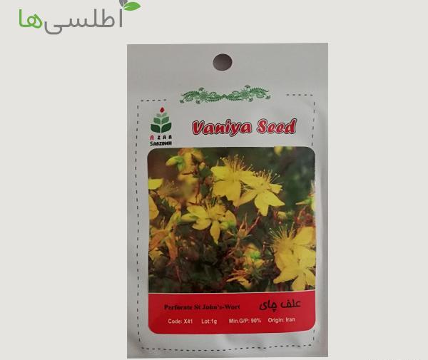 عکس گیاه علف چای