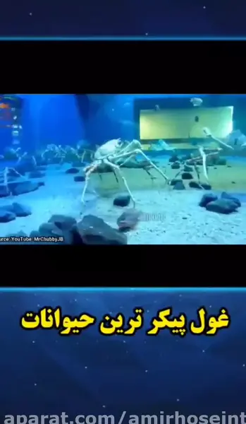عکس غول پیکرترین حیوانات