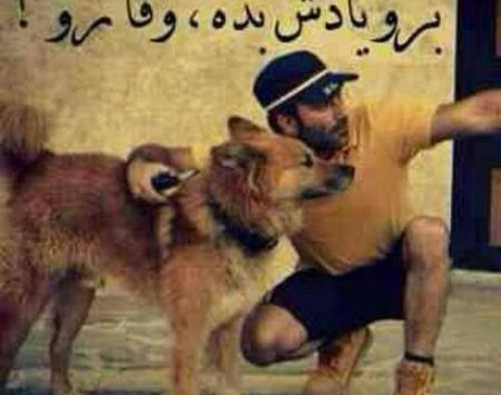 عکس نوشته انسان حیوان صفت