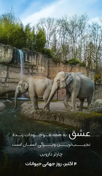 عکس نوشته انسان حیوان صفت