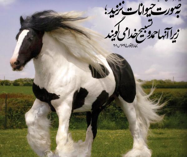 عکس نوشته انسان حیوان صفت