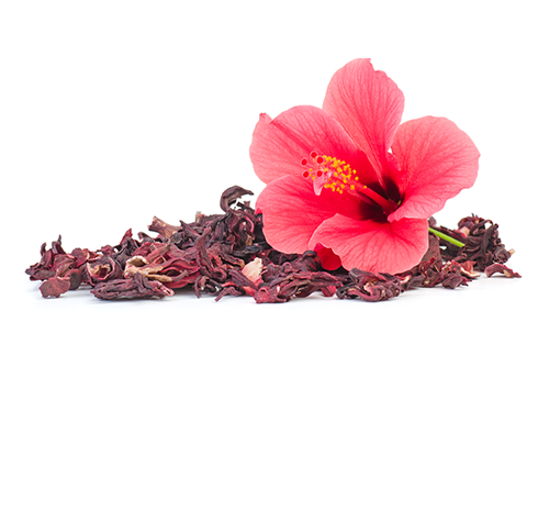 عکس درخت چای ترش