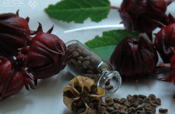 عکس درخت چای ترش