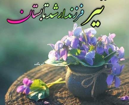 عکس تبریک تولد خواهر تیر ماهی