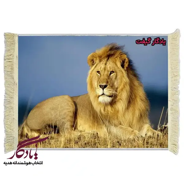 عکس حیوانات شیر جنگل