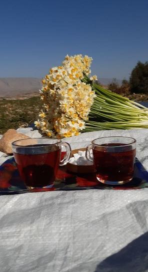 عکس فنجان چای و گل