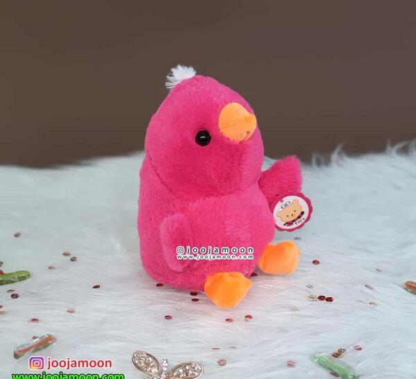عکس جوجه رنگی بنفش