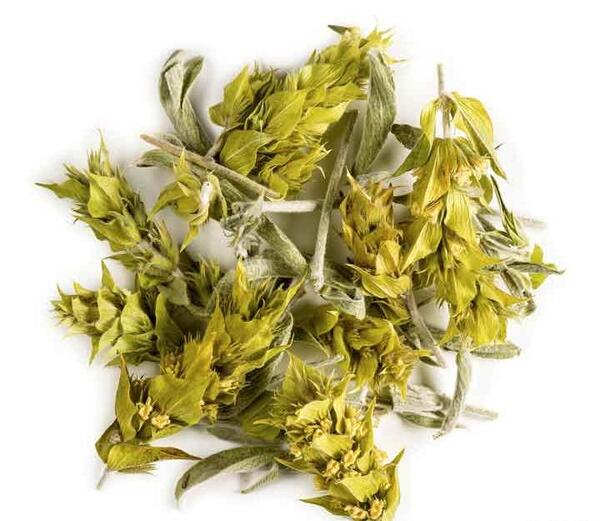 عکس انواع چای کوهی