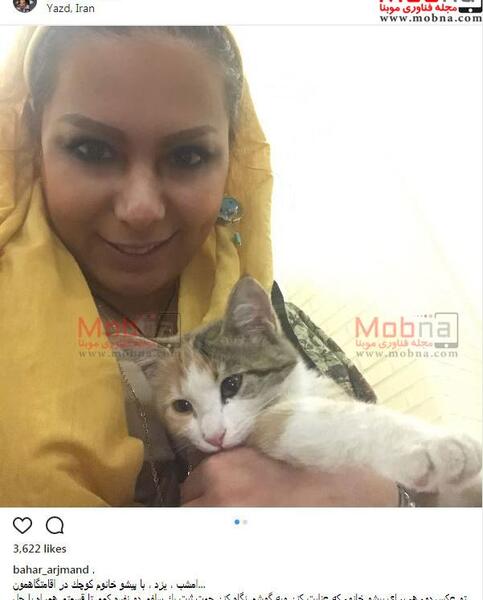 عکس چشم گربه بازی
