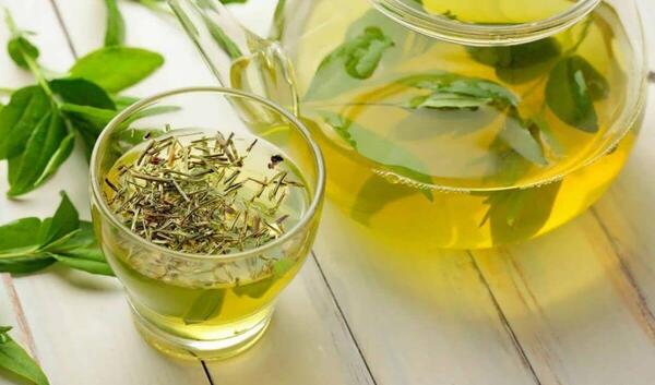 عکس چای سبز لاغری